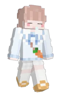 Front of dxwon's skin