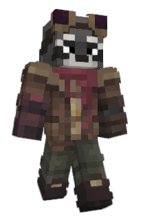 Front of nhsr's skin