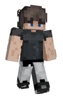 Front of Leetcore's skin