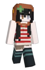 Skin preview