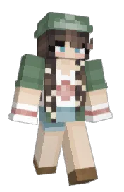 Skin preview