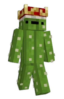 Front of PadiQv's skin