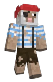 Skin preview