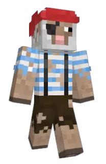 Front of FinnVisNL's skin