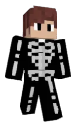 black and calico Minecraft skin — Slim model — first worn by Slats_