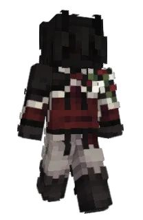 Front of Mntix's skin
