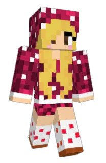 Front of twinibop's skin