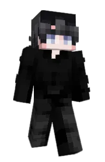 Front of wexly's skin