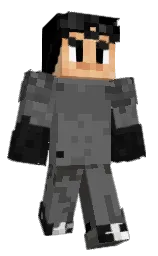 dove gray and black Minecraft skin — Classic model — first worn by Edwige10