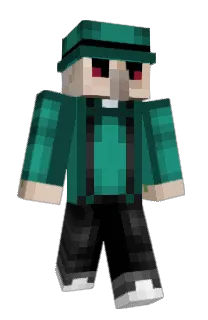 Front of Zebra's skin