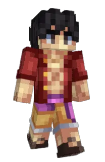 Front of Tvfr's skin