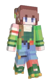 Skin preview