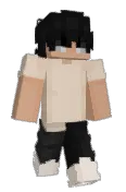 SebTint