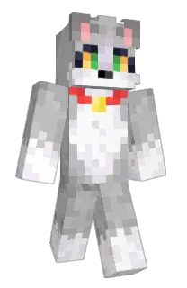 Acenix's Minecraft skin