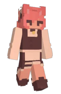 Front of ShinjuSan's skin