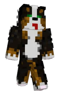 Front of GingerCapy's skin