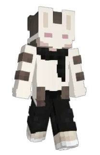Front of Pinn24's skin