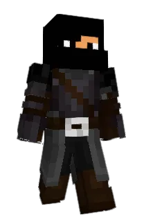 Front of LotusArc's skin