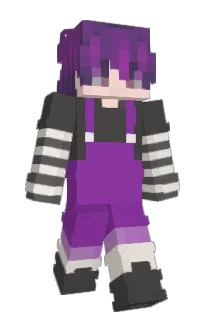 Front of Schulfach's skin