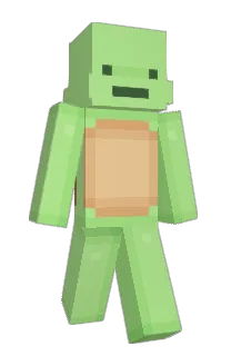 Front of P1epsen's skin