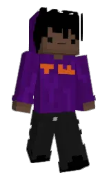Slim Minecraft skin