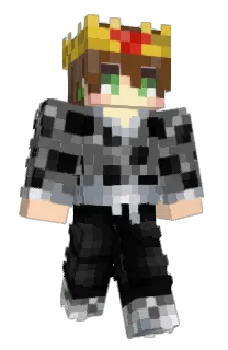 Front of MrIcepack's skin