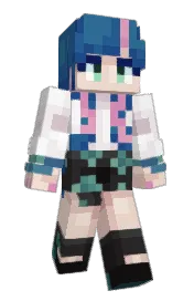 Skin preview