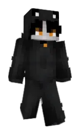 shark and cod gray Minecraft skin — Slim model — first worn by Wintaa_