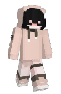 Front of MiniwaMew's skin