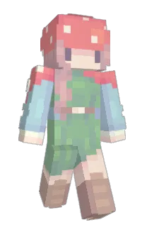 Front of Minecraft skin
