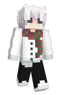 Front of shnie's skin