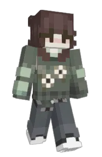 Front of whycook's skin