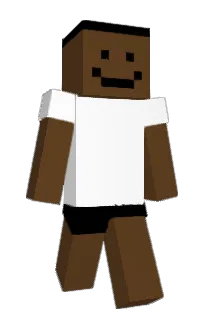 Front of J1rry's skin