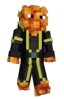 Front of Akdninja's skin