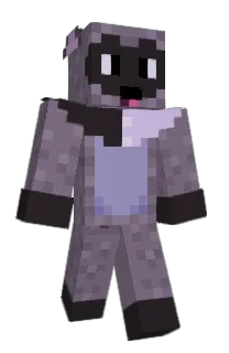 Raccmon's Minecraft skin