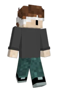 Front of jantist's skin