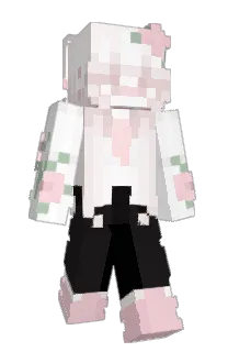 AerospaceTM's Minecraft skin