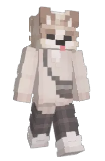 geckopuffs's Minecraft skin