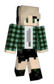 Skin preview