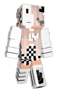 Front of Ecilisty's skin