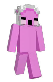 Front of soapab's skin