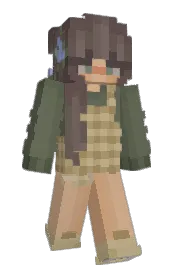 Skin preview