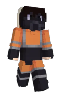 Front of elifent's skin