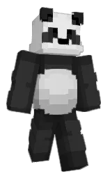 Slim Minecraft skin