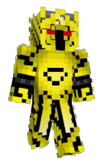 Front of RAJMEER's skin