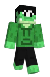 Skin preview
