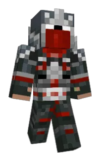 Front of aej's skin
