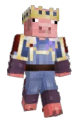 PigVirus