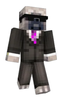 Front of Felexy's skin
