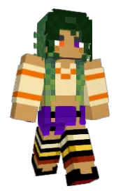 Skin preview